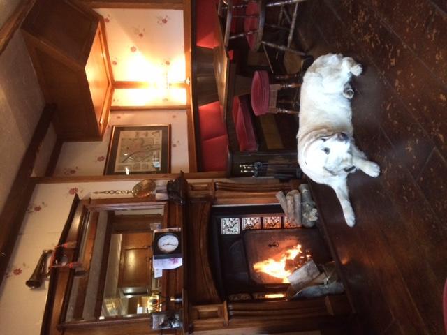The Bay Horse Hotel York Luaran gambar